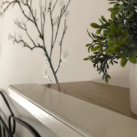 Lejlighed Apartman Mera Zadar