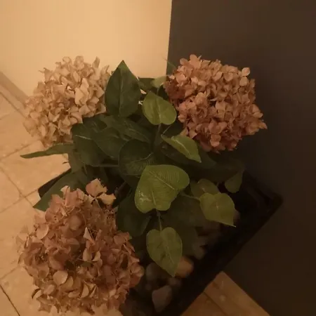 Apartman Mera Διαμέρισμα