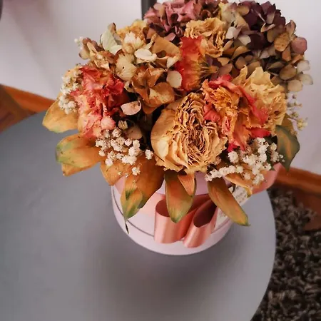 Apartman Mera Lejlighed Zadar