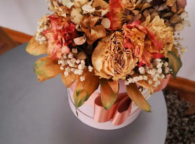 Apartman Mera Appartement Zadar